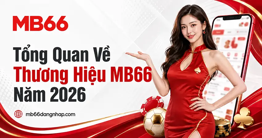 Tổng Quan Về Thương Hiệu MB66 Năm 2026